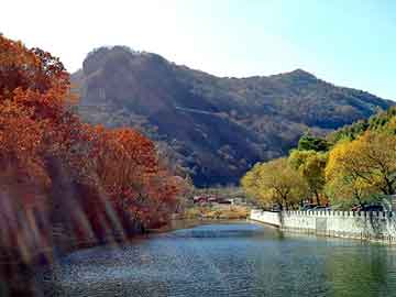 新澳门二四六天天彩，石家庄岩棉保温板